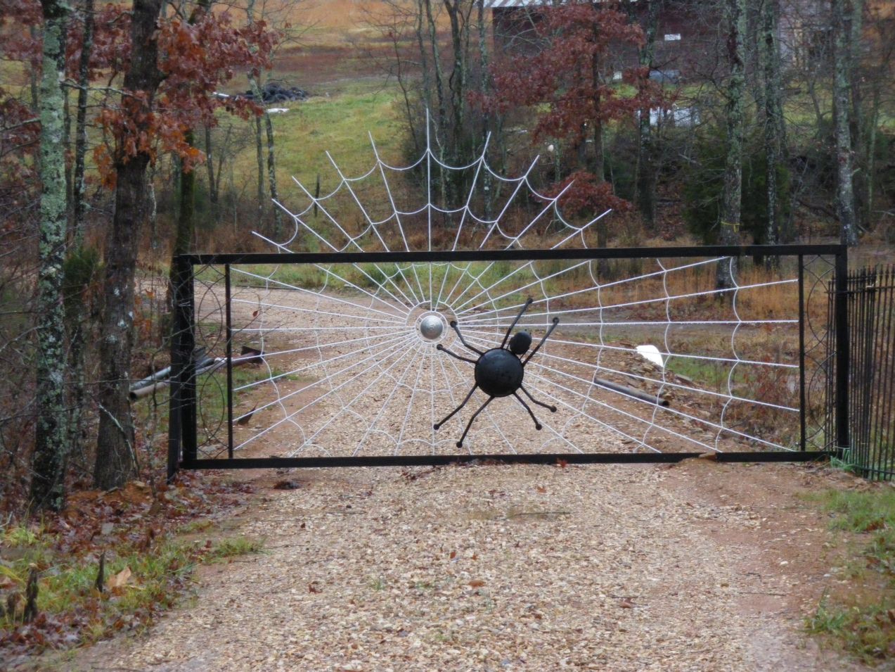 do you have pictures to share? spiderweb gate.jpg